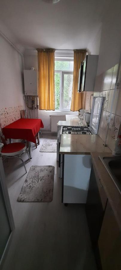 Apartament La Denis Bîrlad Εξωτερικό φωτογραφία