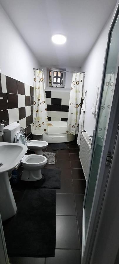 Apartament La Denis Bîrlad Εξωτερικό φωτογραφία