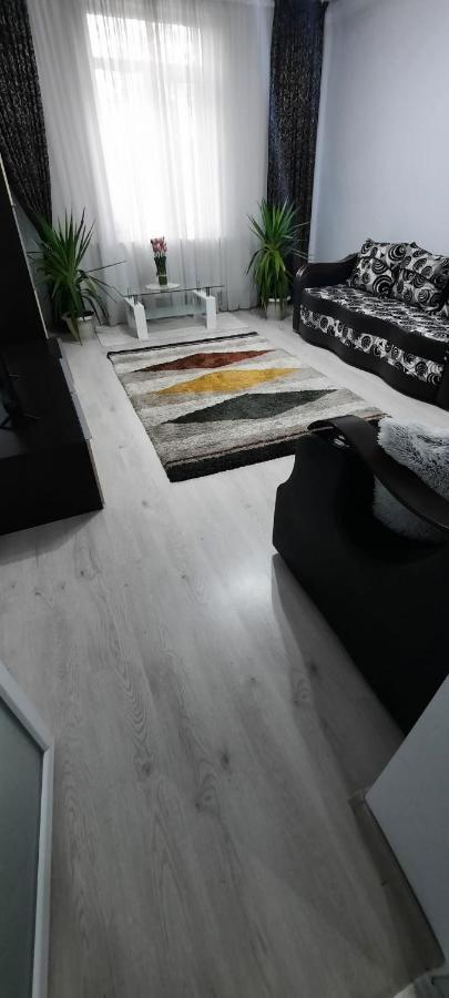 Apartament La Denis Bîrlad Εξωτερικό φωτογραφία